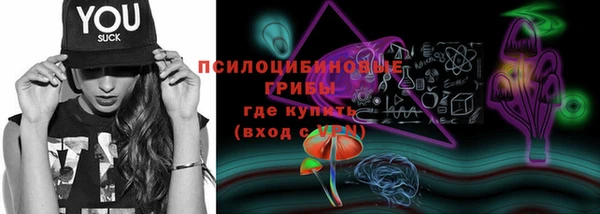 мет Арсеньев