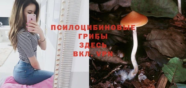 мет Арсеньев