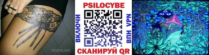 Псилоцибиновые грибы Psilocybe Углегорск